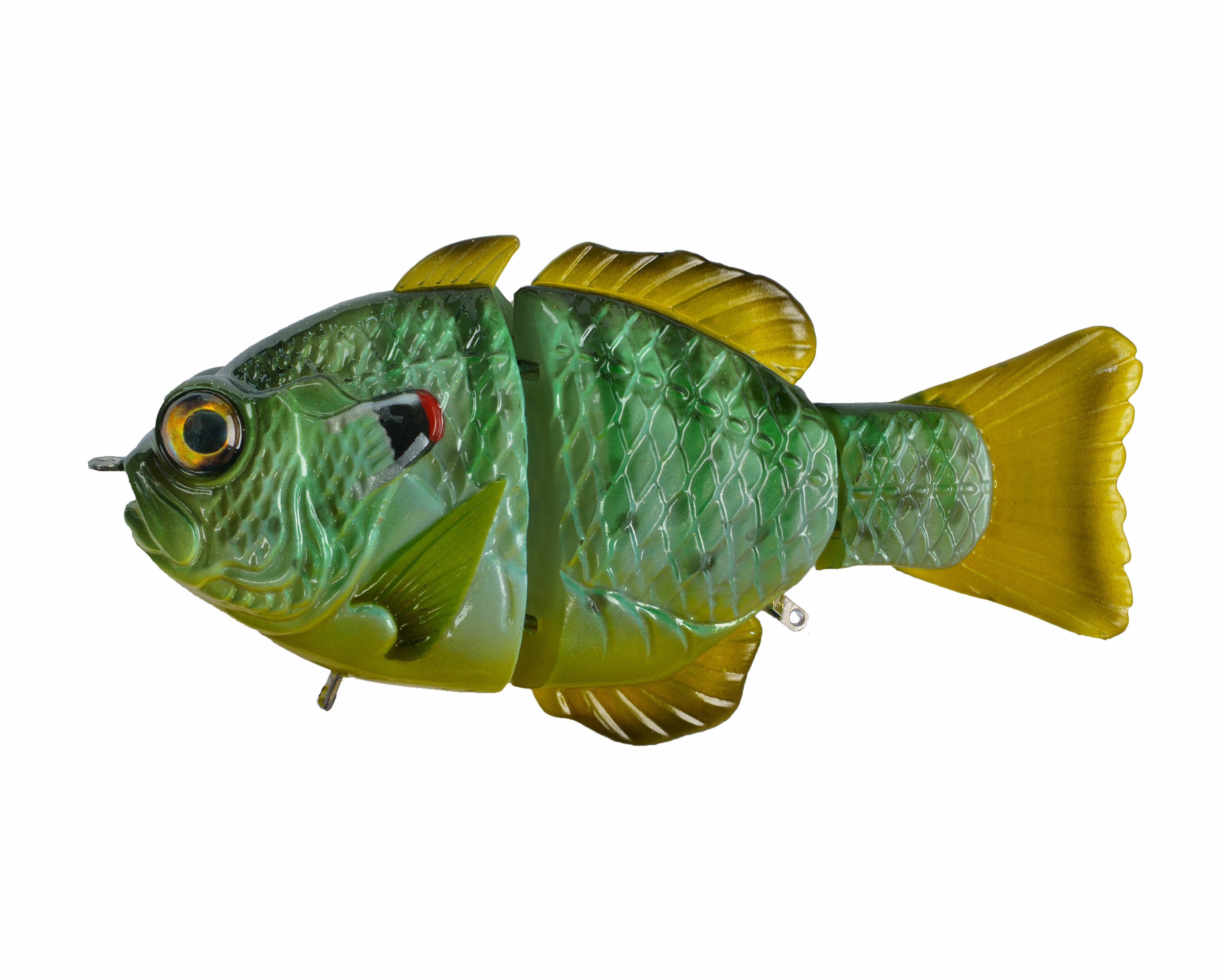 Artisan Gill – Synch Fishing