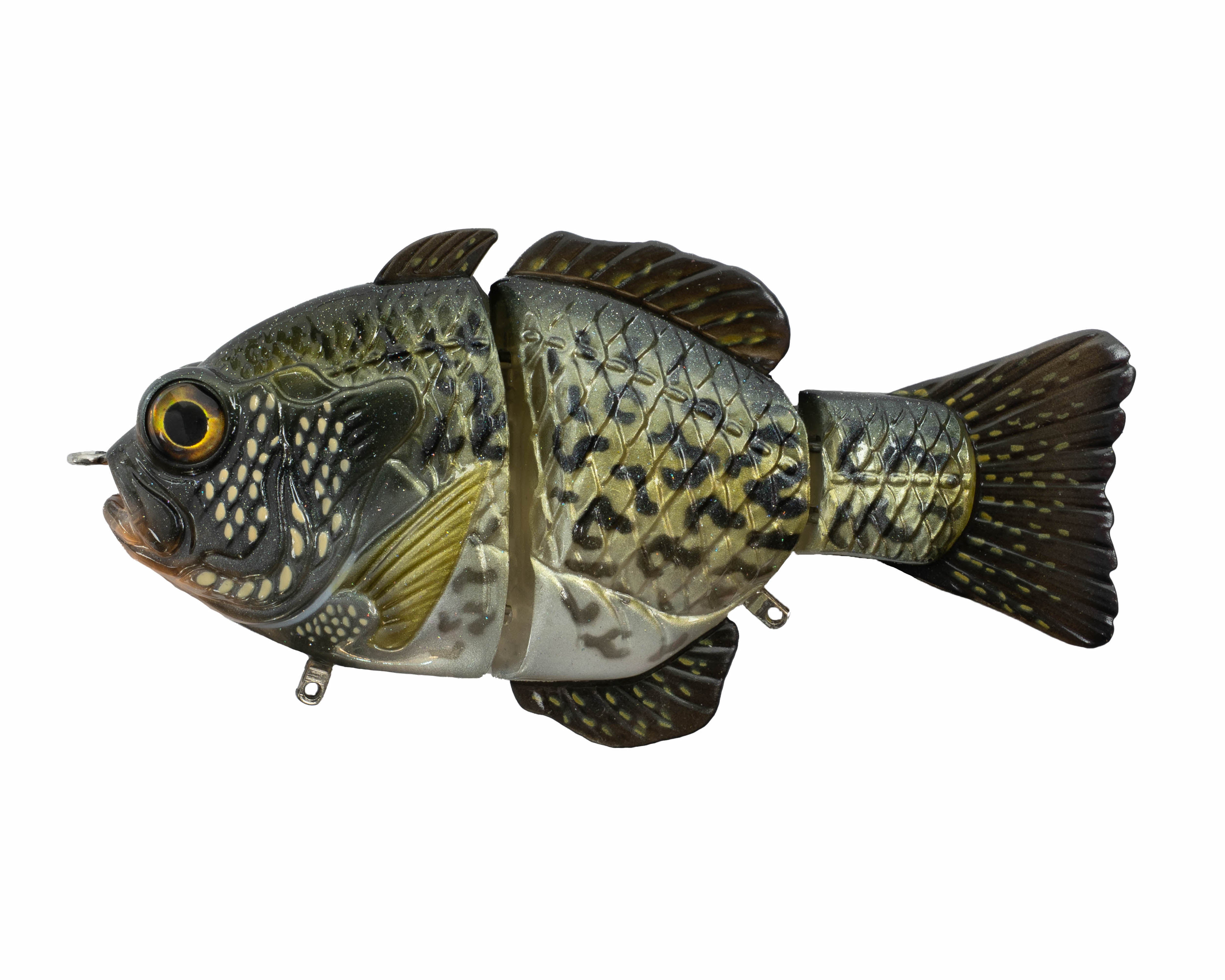 Artisan Gill – Synch Fishing